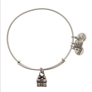 Alex & ani charitable gift box charm